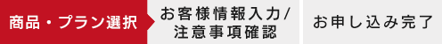 stepSMARTPHONE